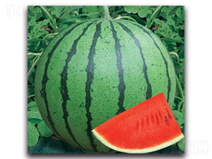 ������-���ϷN��-����N�I(y��)