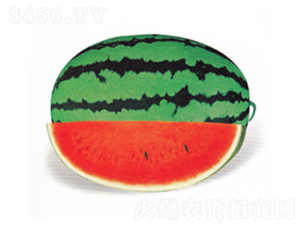 �����쌚����-���ϷN��-����N�I(y��)