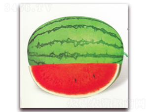 ������������-���ϷN��-����N�I(y��)