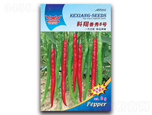 ��������8̖(h��o)-�����N��-����N�I(y��)