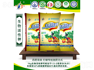 ��������-����