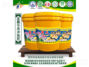 ɏź���Û_ʩ��-����