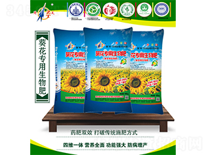 �������������-����