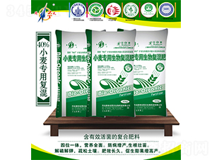 С�����������(f��)���-����