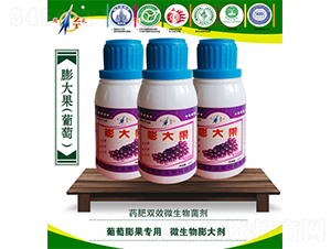 ���ь���΢�������-����-����-����