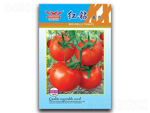 �t�@����-���ѷN��-����N�I(y��)