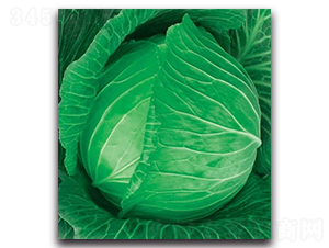 δ��(l��i)789���{(l��n)-���{(l��n)�N��-����N�I(y��)