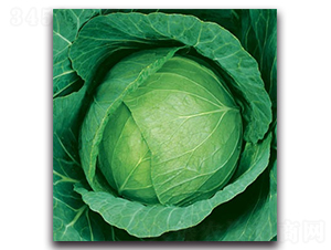 δ��(l��i)783���{(l��n)-���{(l��n)�N��-����N�I(y��)