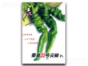 �ػ�22̖(h��o)�⽷F1-�����N��-�ػ�