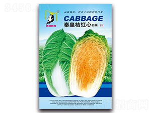 �ػʽۼt�İײ�F1-�ײ˷N��-�ػ�