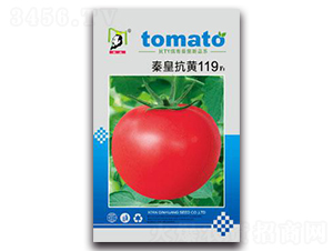 �ػʿ��S119F1-���ѷN��-�ػ�