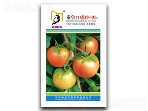 �ػʿڸ�19-01F1-���ѷN��-�ػ�