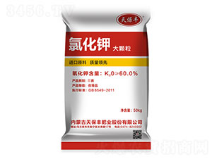 �Ȼ�⛣����w����-�챣�S-����R��