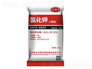 �Ȼ��-�챣�S-����R��