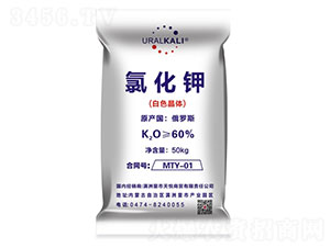 60%�Ȼ�⛣���ɫ���w��-����R��