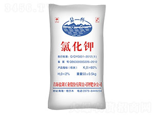 �Ȼ��-�}��-����R��