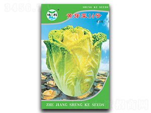 �Sѿ��14̖-ѿ�˷N��-�ӿƷN�I(y��)