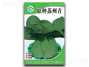 ԭ�N�K����-��˷N��-�ӿƷN�I(y��)