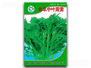 ������~����-����N��-�ӿƷN�I(y��)