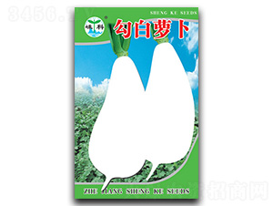 �����}��-�}���N��-�ӿƷN�I(y��)