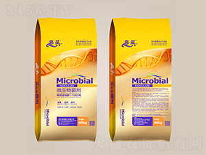 10�|���΢�������-ϲ��