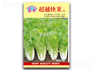 ��Խ���F1-�ײ˷N��-���S�N��