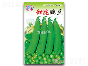 ����㶹-�㶹�N��-���S�N��