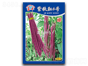 ������6̖-�����N��-���S�N��