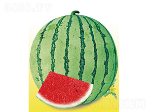 ����һ̖-���ϷN��-����