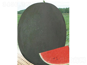 ī���̖-���ϷN��-����