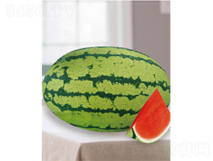 �޶���̖-���ϷN��-����