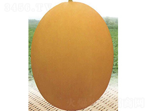 ������̖-��ϷN��-����