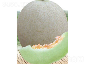 ��������̖-��ϷN��-����