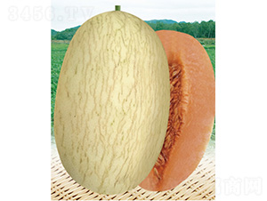 ������21̖-��ϷN��-����