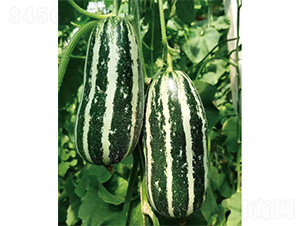 �����-��ϷN��-����