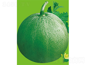 �G����̖-��ϷN��-����