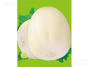 ���S��̖-��ϷN��-����