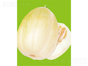 ���S��̖-��ϷN��-����