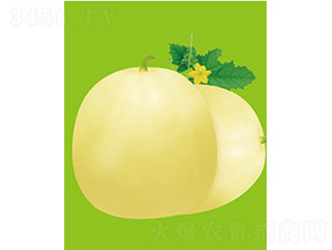 ����19-��ϷN��-����