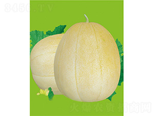 �O��25-��ϷN��-����