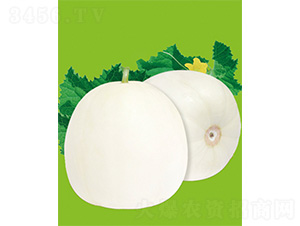 �O��18-��ϷN��-����