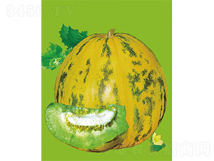 ����-��ϷN��-����