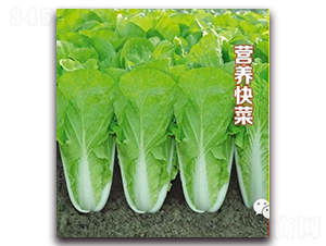 �I(y��ng)�B(y��ng)���-�ײ˷N��-��s�r(n��ng)�I(y��)