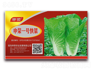 ��sһ̖(h��o)���-�ײ˷N��-��s�r(n��ng)�I(y��)