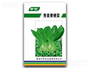 �����๣��-�๣�˷N��-��s�r�I(y��)