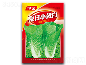 ����С�S��-��˷N��-��s�r(n��ng)�I(y��)