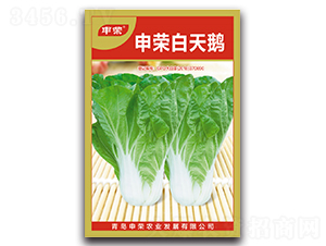 ��s�����Z-��˷N��-��s�r(n��ng)�I(y��)