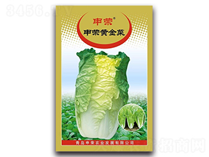 ��s�S���-��˷N��-��s�r(n��ng)�I(y��)