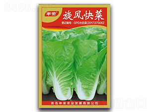 ���L(f��ng)���-��˷N��-��s�r(n��ng)�I(y��)