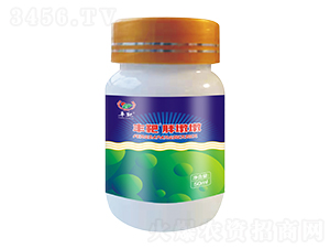 �S���ֶն�-�Zʿ�_(d��)